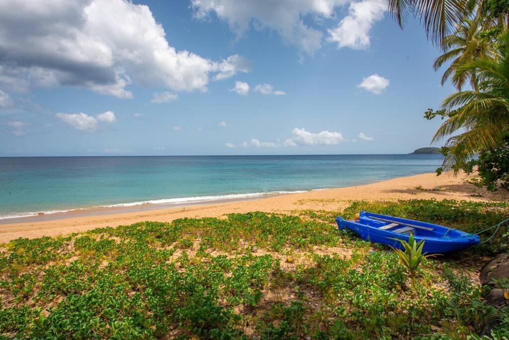 Vwe Moun Bay Apartment Deshaies Bagian luar foto