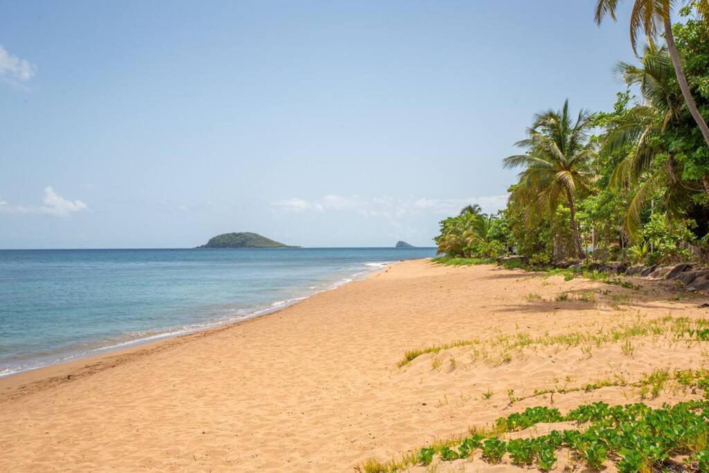 Vwe Moun Bay Apartment Deshaies Bagian luar foto